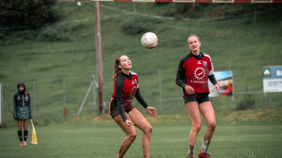 9877431E-8938-4CB4-9C7D-31AFBB51CE3A